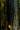 thumb-photo-1