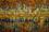 thumb-photo-12